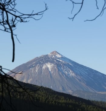 ¿Habrá erupción volcánica en Tenerife? “No podemos decir a la gente que [...]