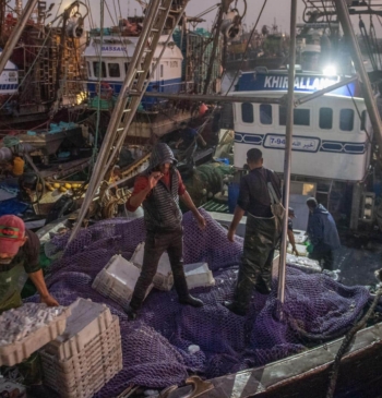 Expoliar arena, sol y viento: cómo Marruecos se lucra del Sáhara Occidental [...]