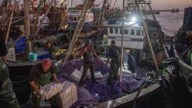 Expoliar arena, sol y viento: cómo Marruecos se lucra del Sáhara Occidental a costa de los saharauis