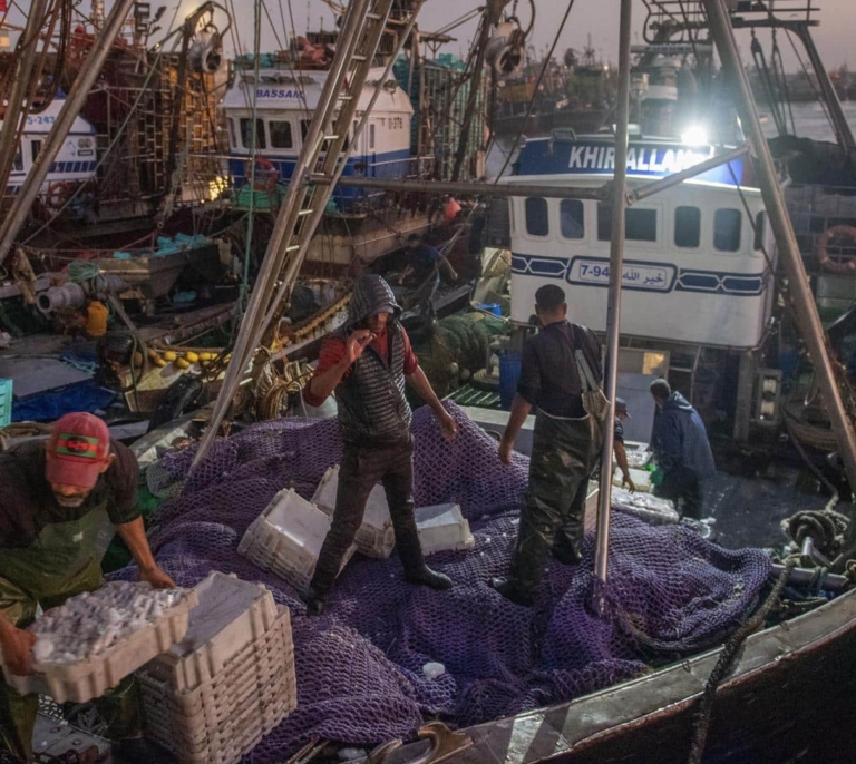 Expoliar arena, sol y viento: cómo Marruecos se lucra del Sáhara Occidental a costa de los saharauis