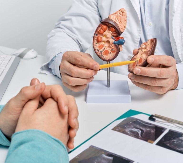 Alcer, Feder y Novartis impulsan una alianza para mejorar el diagnóstico y la información de las enfermedades renales raras