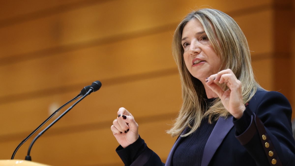 La portavoz del PP en el Senado, Alicia García