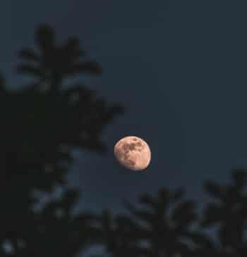 La última luna llena del invierno coincide con un eclipse lunar total
