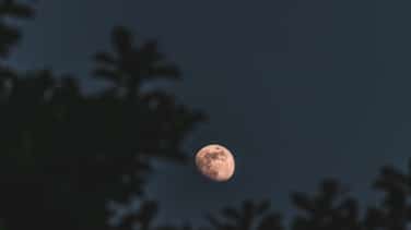 Eclipse lunar de marzo 2026: ¿será visible desde España?