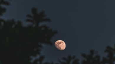 Eclipse lunar de marzo 2026: ¿será visible desde España?