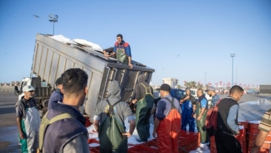 Una feria de pesca en Barcelona da alas al expolio del Sáhara Occidental a manos de Marruecos