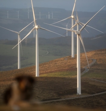 El karma energético de Trump