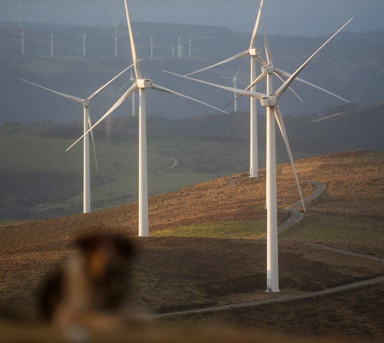 El karma energético de Trump