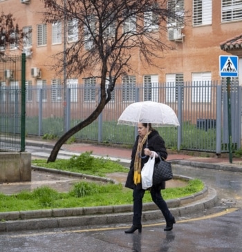 Temporal en España: nieve, lluvias y fuerte oleaje ponen en alerta a [...]