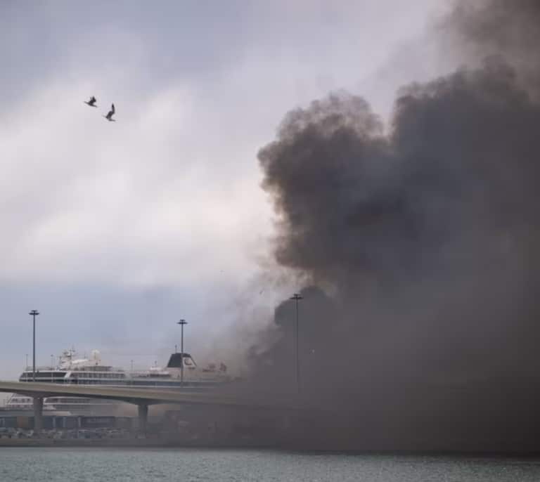 Un incendio en el Puerto de Barcelona quema varios contenedores y provoca una gran columna de humo
