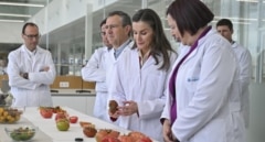 Letizia, con bata blanca y entre tomates: las mejores imágenes de la visita de la reina al invernadero "milagro" de Almería