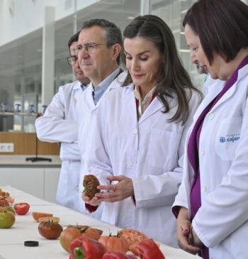 Letizia, con bata blanca y entre tomates: las mejores imágenes de la [...]