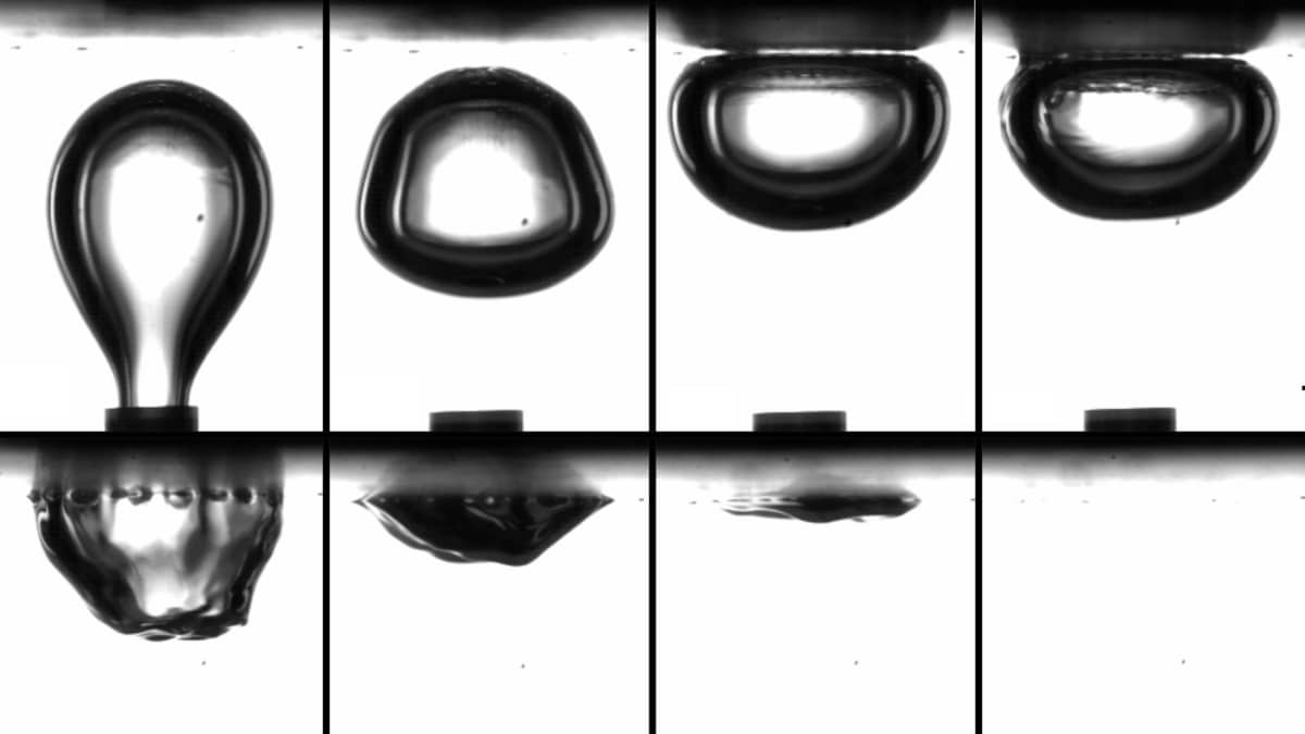 Momento en que una burbuja impacta contra la membrana (arriba a la derecha) y queda eliminada en aproximadamente 8 milisegundos.