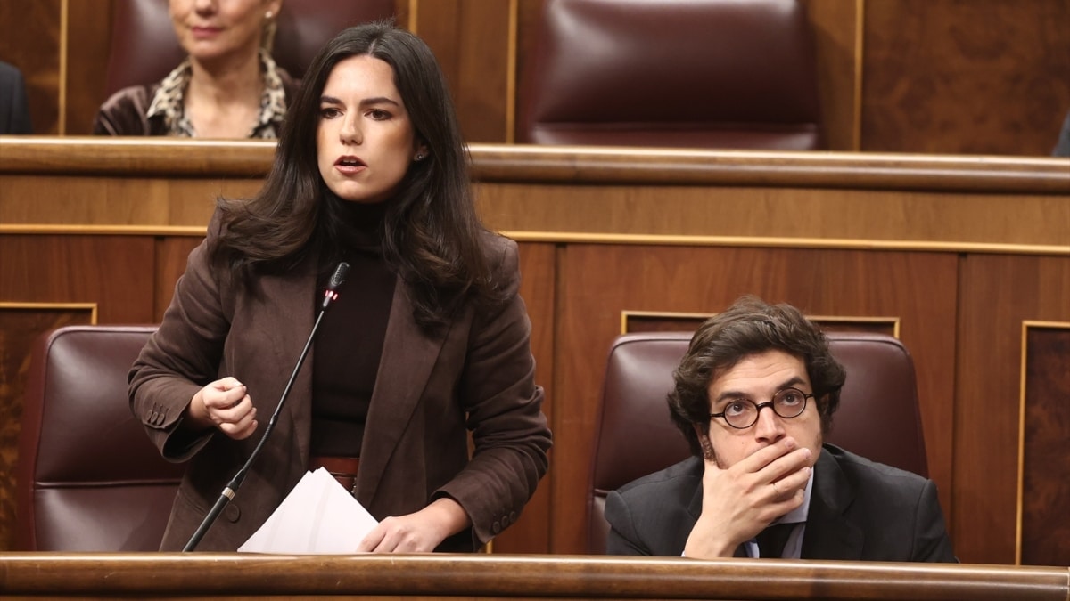 La portavoz de Vox en el Congreso, Pepa Millán.