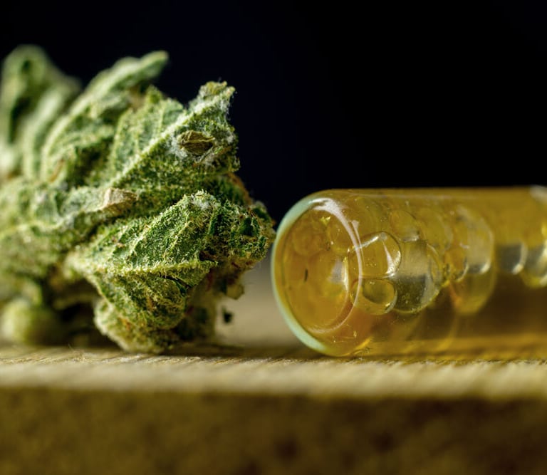 Las claves del auge del CBD en España