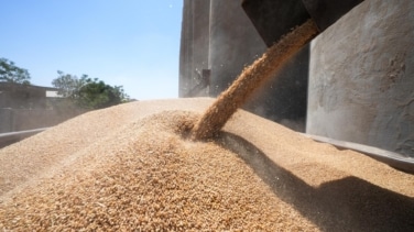 La urea, la sustancia generada por el estómago que afecta a la producción alimentaria global