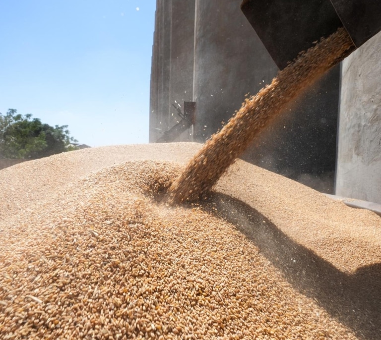 La urea, la sustancia generada por el estómago que afecta a la producción alimentaria global