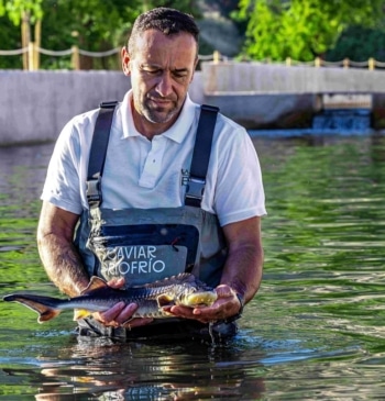 Riofrío, de cerca y en Granada, permite visitar la producción del primer [...]