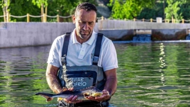 Riofrío, de cerca y en Granada, permite visitar la producción del primer caviar ecológico del mundo