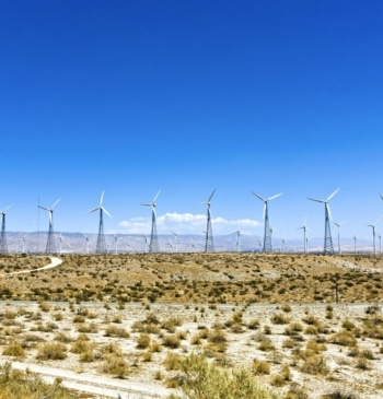 Los alcaldes de Viento Alto aseguran que no hay ningún informe de [...]