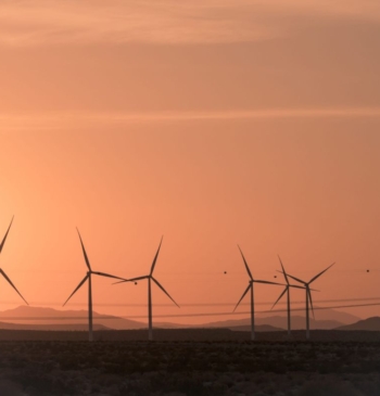 El juez aplaza sin fecha la vista sobre la potencial paralización del [...]