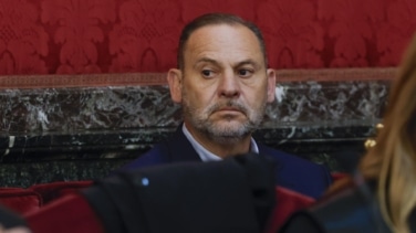Un "pionero" de alquileres vacacionales reconoce que tiene "muy buena opinión" de Ábalos