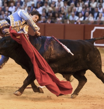 Roca Rey sufre una violenta cogida en el muslo derecho en la [...]