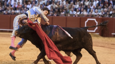 Roca Rey sufre una violenta cogida en el muslo derecho en la Maestranza
