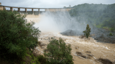 El PP exige al Gobierno un plan urgente para ejecutar cien infraestructuras hídricas pendientes en Andalucía