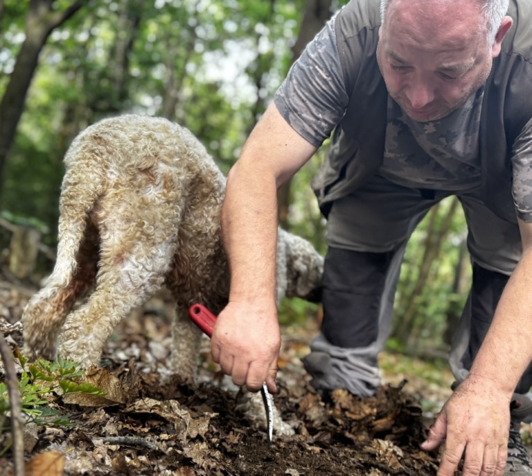En busca de trufas blancas y vinos únicos en la tierra de la Nutella