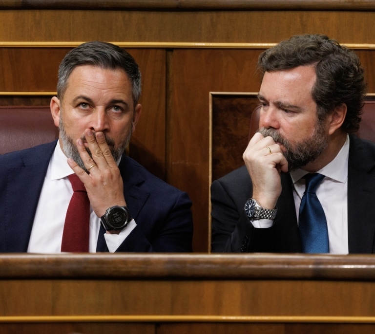 El control de Méndez-Monasterio sobre la comunicación de Vox enfrentó a Abascal y a Espinosa antes de su salida