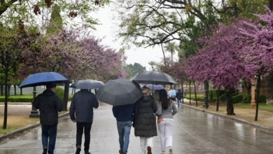 El tiempo este fin de semana: drásticos cambios de temperatura