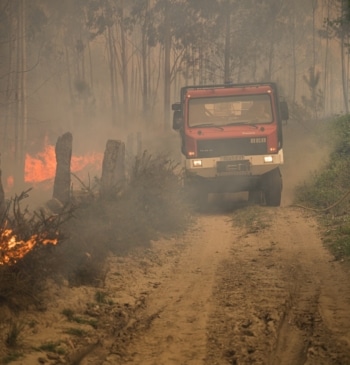 Desalojan a trece personas por dos incendios que se han unido en [...]