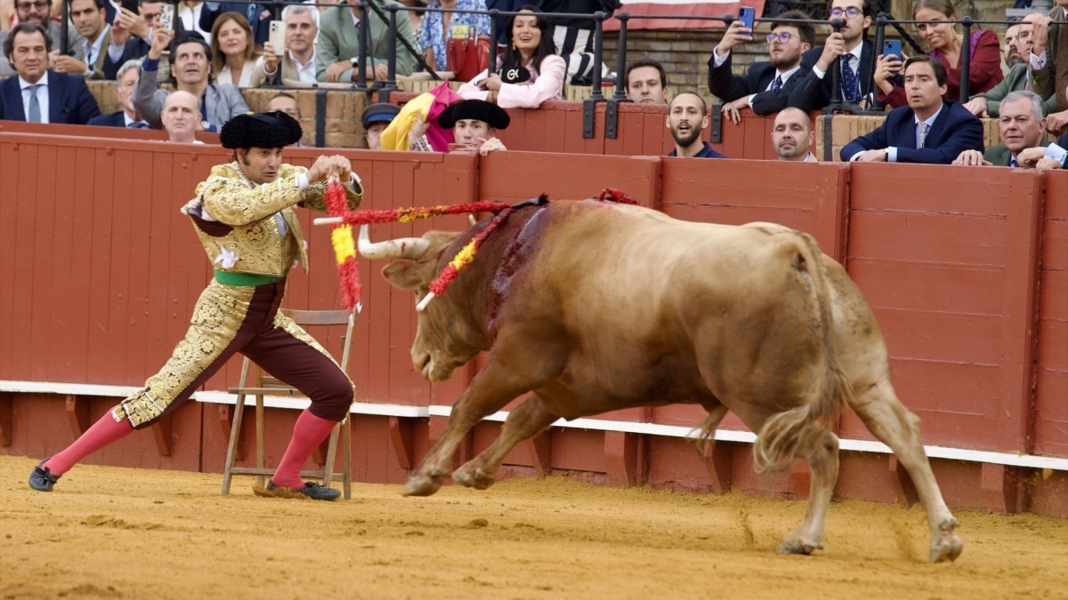 Morante banderillea al cuarto toro de Álvaro Núñez en La Maestranza de Sevilla.