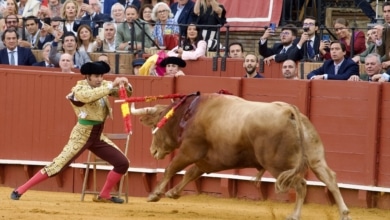 Morante no tiene un confesionario, tiene una silla