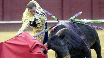 Muere el torero retirado Ricardo Ortiz tras ser corneado por un toro en los corrales de La Malagueta