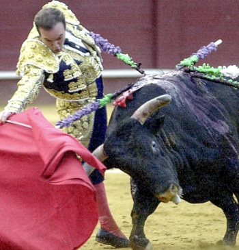 Muere el torero retirado Ricardo Ortiz tras ser corneado por un toro [...]