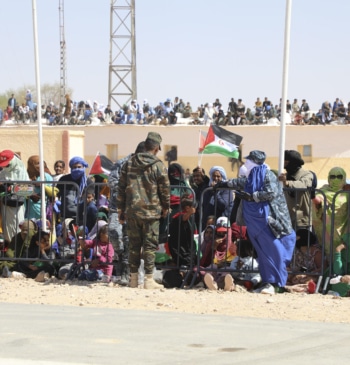 ¿Saharauis? No, gracias