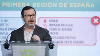 Vox, sobre la Kitchen: "Debería afectar electoralmente al PP. Es muy grave poner los recursos del Estado en manos de un partido"