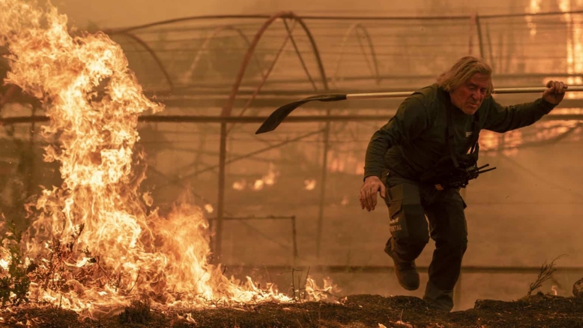 La lección del peor año de incendios, la misma falta de prevención: "Se nos quema media España y nadie hace nada"