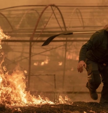 La lección del peor año de incendios, la misma falta de prevención: [...]