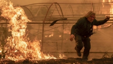 La lección del peor año de incendios, la misma falta de prevención: "Se nos quema media España y nadie hace nada"