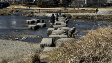 Tras la pista de la taberna Kamogawa en Kioto