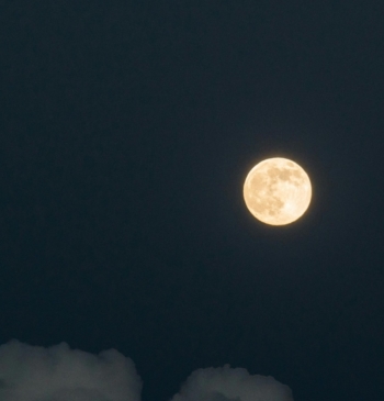 Luna llena de mayo 2026: cuándo y cómo ver la Luna de [...]