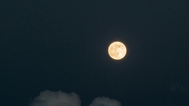Luna llena de mayo 2026: cuándo y cómo ver la Luna de las Flores