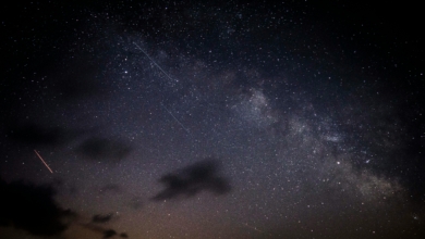 Lluvia de estrellas Eta Acuáridas en mayo: cuándo y cómo verlas desde España