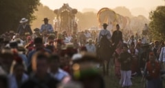 La Junta advierte del riesgo de picaduras y e intoxicaciones alimentarias en ferias y romerías