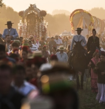 La Junta advierte del riesgo de picaduras y e intoxicaciones alimentarias en [...]