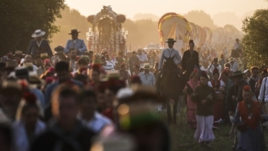 La Junta advierte del riesgo de picaduras y e intoxicaciones alimentarias en ferias y romerías