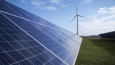 Precio de la luz hoy, 7 de abril de 2026: qué papel juegan las energías renovables